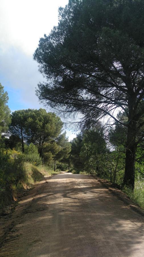 Vila La Isabelita Andújar Exteriér fotografie