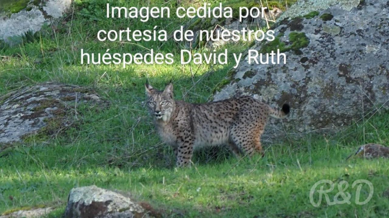 Vila La Isabelita Andújar Exteriér fotografie